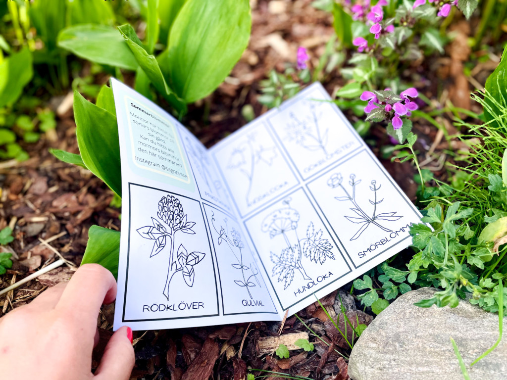 En bok med växtillustrationer ute i naturen